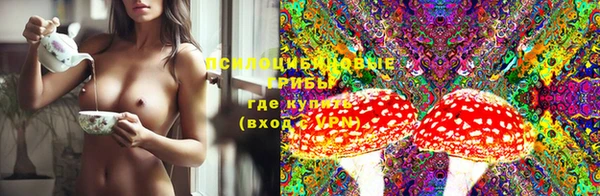 Альфа ПВП Козельск