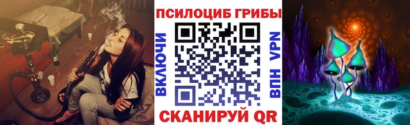 Галлюциногенные грибы GOLDEN TEACHER  Купить  Зверево 